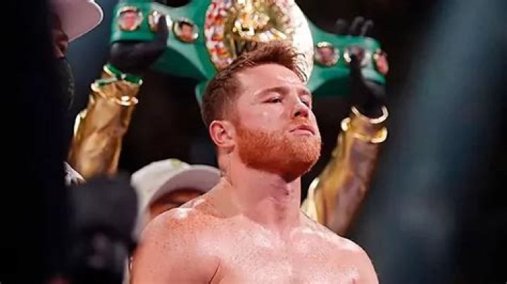 Canelo Alvarez: The Phenomenal Legacy and His Brother's Role in His Career