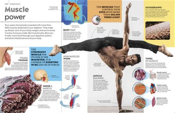 Carl Walking: The Ultimate Guide to the Rising Fitness Phenomenon