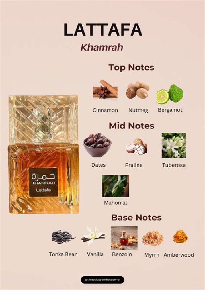 Comprehensive Guide to Lattafa Khamrah Reviews: Discover the Essence of Arabian Perfumery