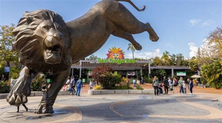 Discover the Magic of San Diego, California: A Complete Guide