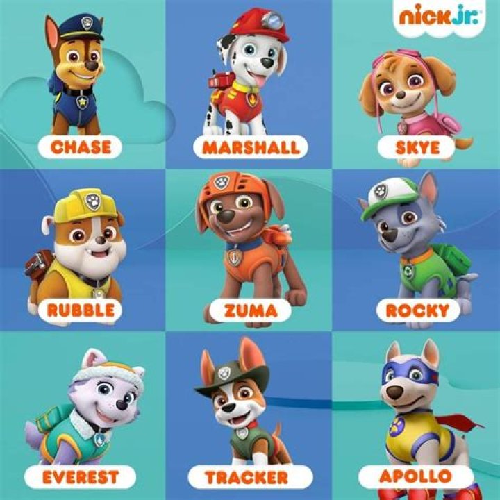 Discover the Ultimate Guide to Paw Patrol Dogs Names and Their Adventures