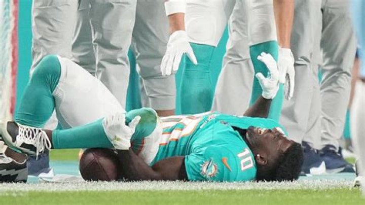 Dolphin Injury: Understanding Causes, Treatments, and Prevention