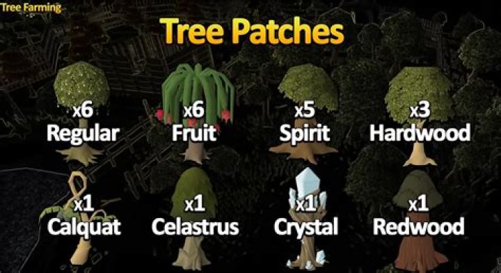 Farming Patches OSRS: A Comprehensive Guide for Aspiring Farmers