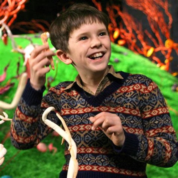 Freddie Highmore in Charlie and the Chocolate Factory: A Memorable Journey