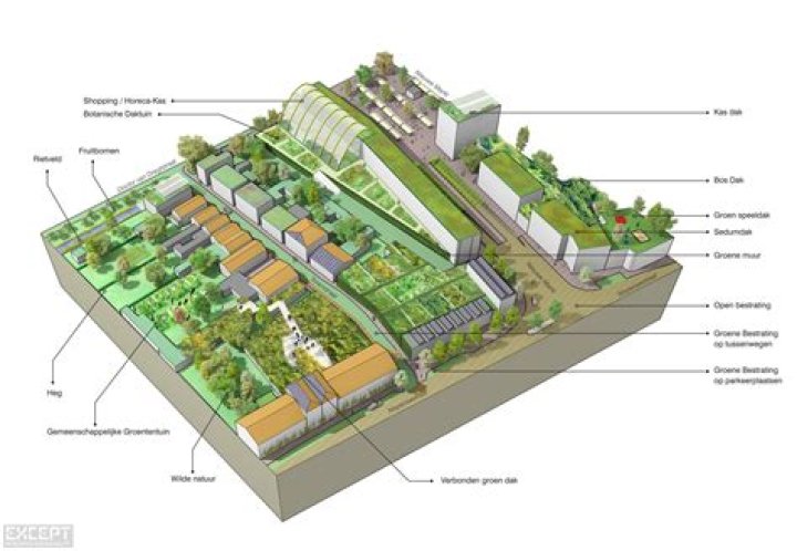 Housing Urban Development: Building Sustainable Cities for the Future