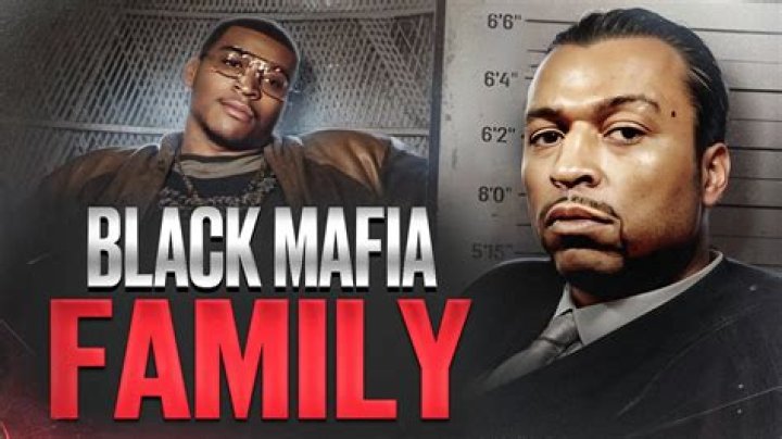 Is BMF Still Active? Exploring the Current Status of Black Mafia Family