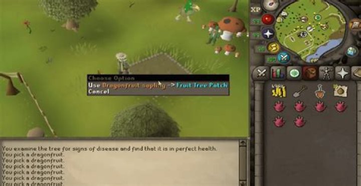 Mastering OSRS Fruit Tree Patches: A Comprehensive Guide to Boost Your Farming Skills