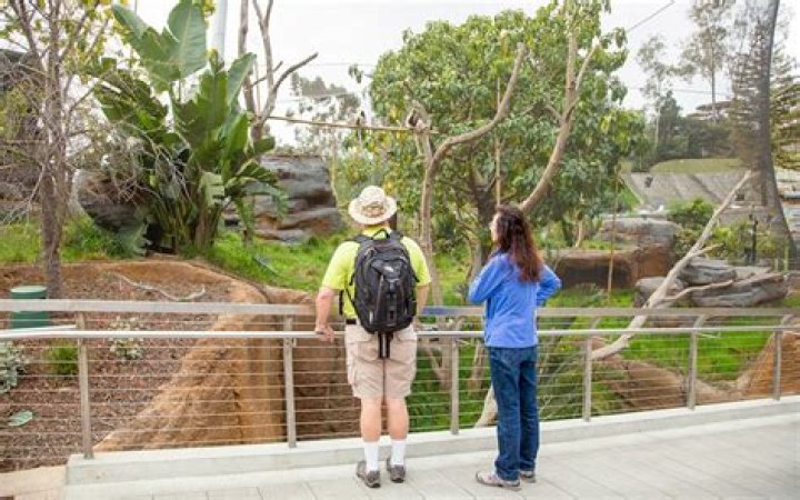 San Diego Zoo Tickets: Unforgettable Encounters with Wildlife