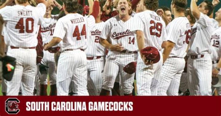 South Carolina Gamecocks Baseball Team: A Comprehensive Guide to Their Legacy and Achievements
