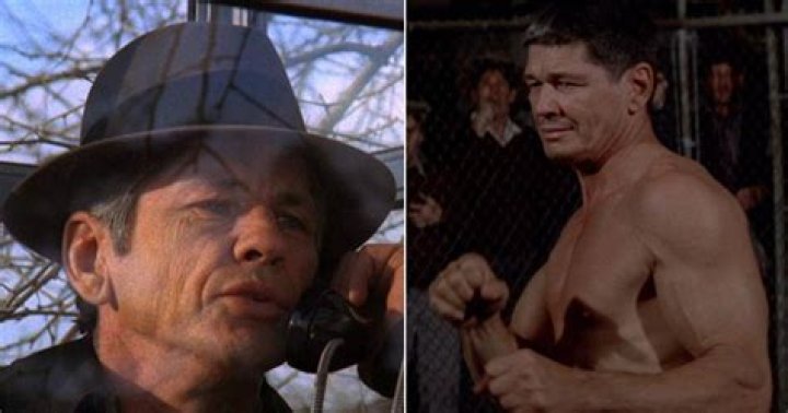 The Enduring Legacy of Legendary Actor Charles Bronson: Iconic Roles &amp; Films
