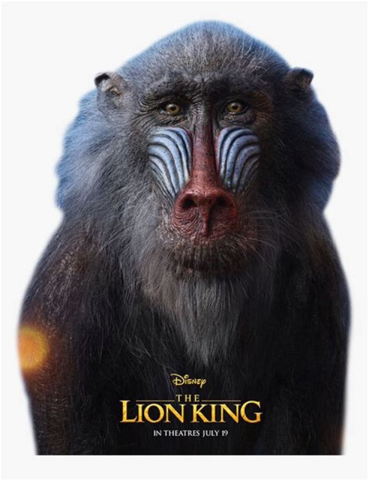 The Monkey in Lion King: Unveiling the Theory Behind Rafiki