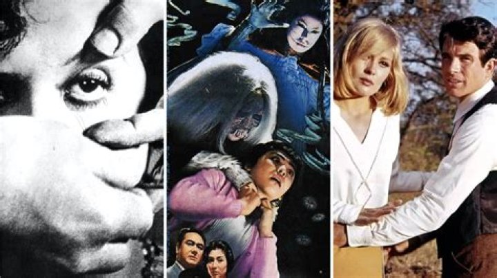 The Ultimate Guide to Exploring Cinema: Dive Into the World of Films