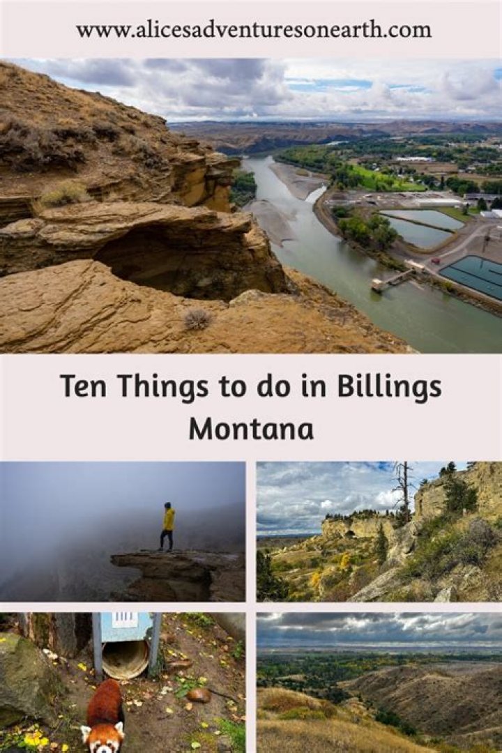 Top Things to Do in Billings Montana: A Comprehensive Guide