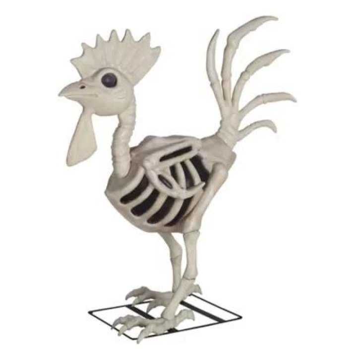 Unveiling the Mystery of the TractorSupply Giant Chicken Skeleton: A Fascinating Deep Dive