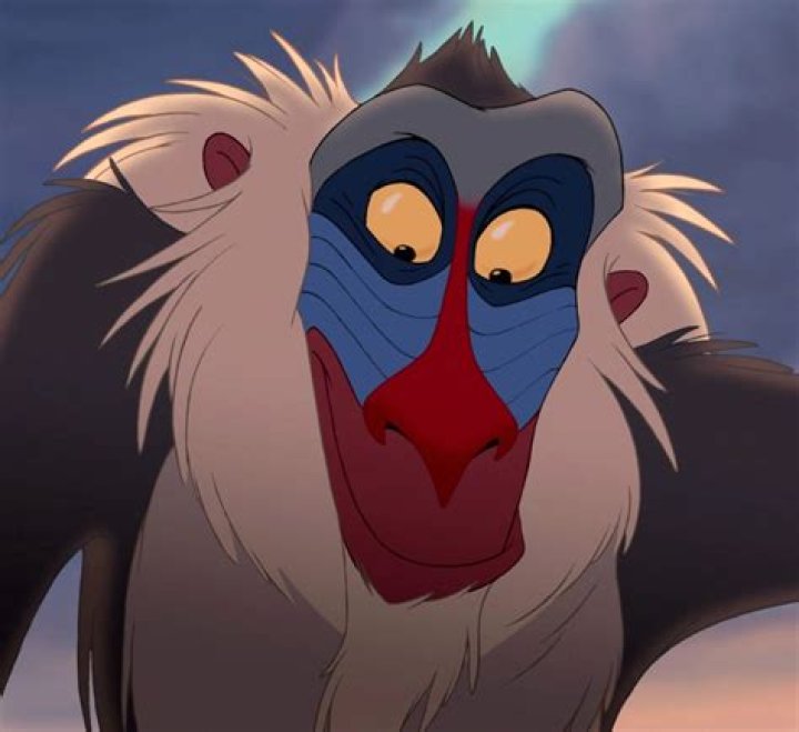 What Monkey is Rafiki: Exploring the Iconic Character from The Lion King
