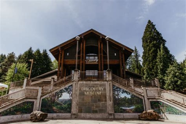 World Forestry Museum: A Journey Through the Wonders of Global Forests